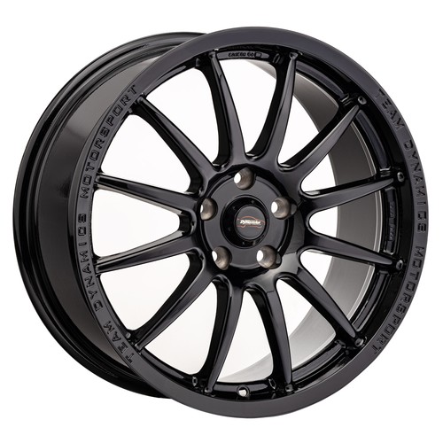 Team dynamics pro - x, race
